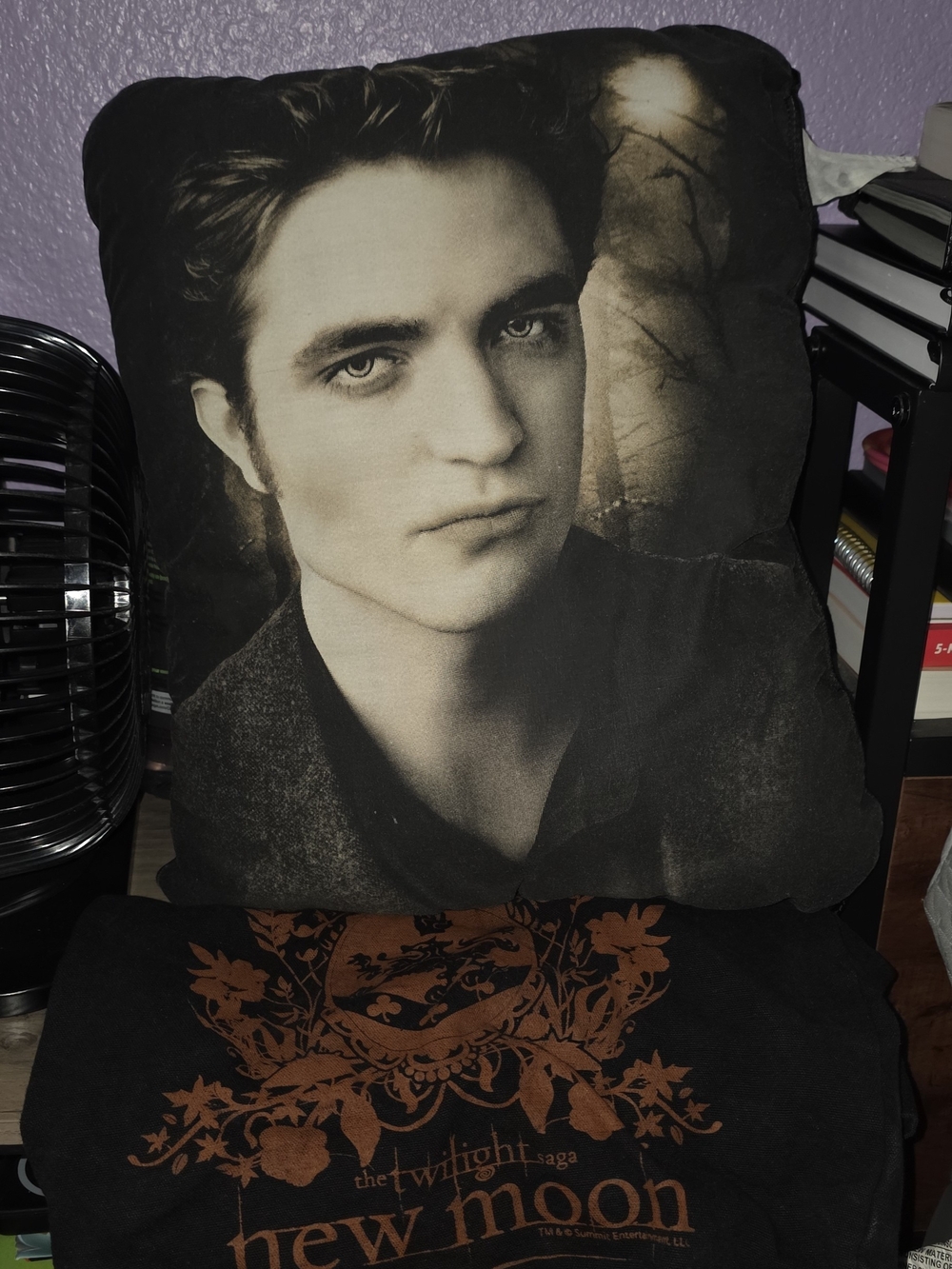 The Ultimate Twilight Fan Plunder!